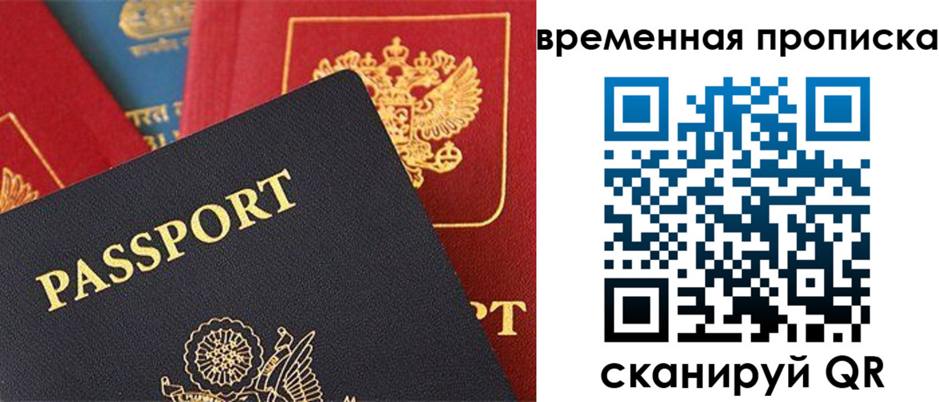 прописка для школы в Долгопрудном